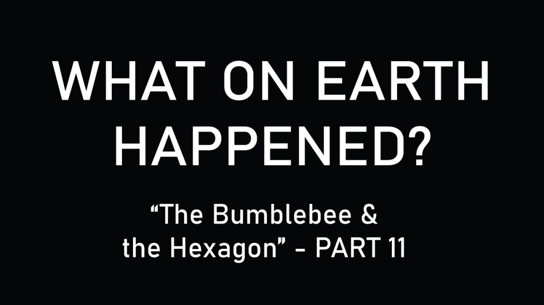 What on Earth Happened - Part Eleven