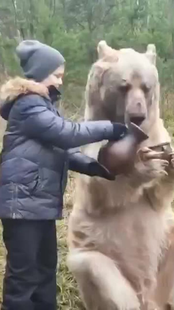 Afternoon tea with a bear as the customer :)