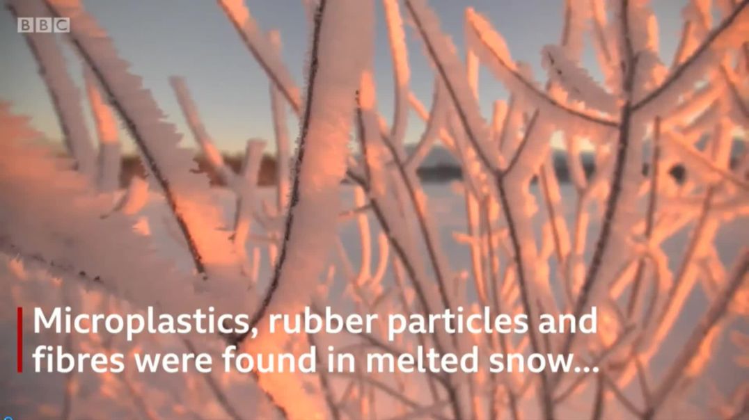 Plastic particles falling out of sky with snow in Arctic