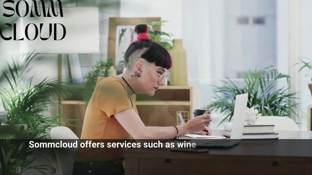⁣Elevate Your Wine Business with Sommcloud | Your Comprehensive Wine Curator