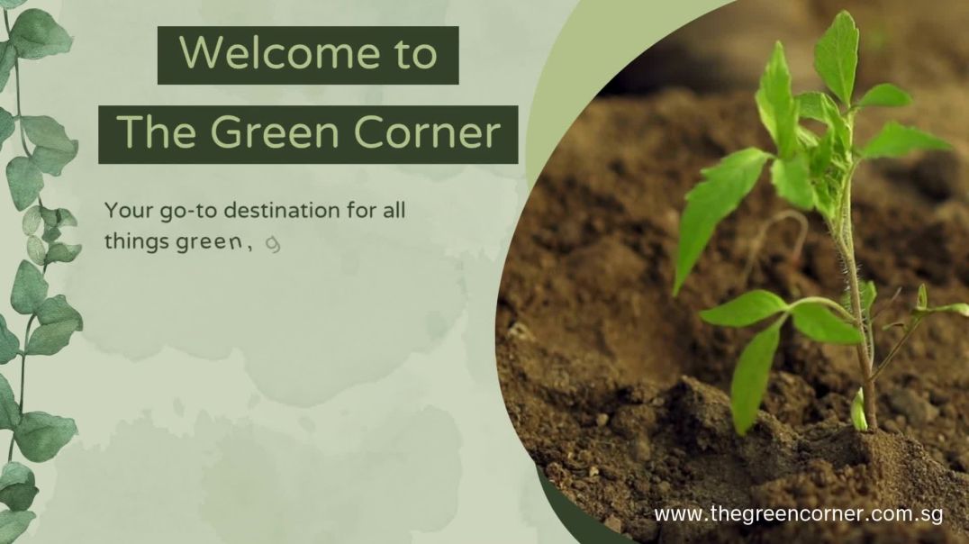 Shop Potting Soil and Garden Mix Online at The Green Corner