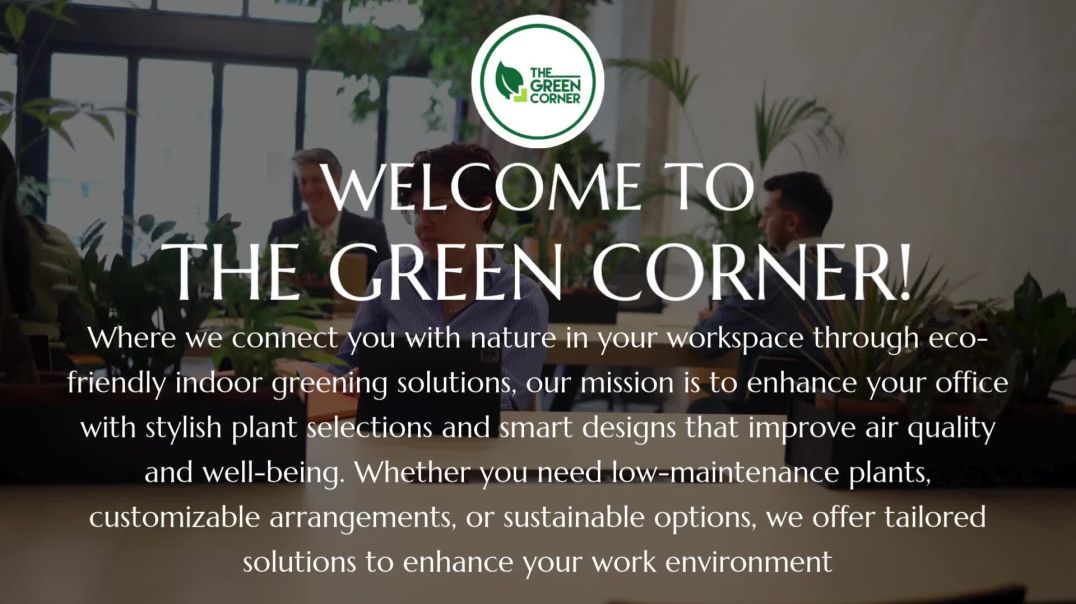 Revitalise Your Office Space with These Easy-Care Plants – The Green Corner