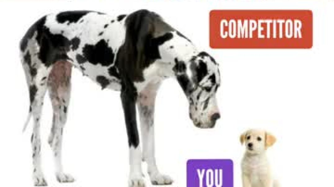 ⁣Small Business vs Large Competitor: How to Win the Battle
