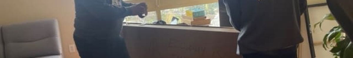 Ecoway Movers Toronto ON 