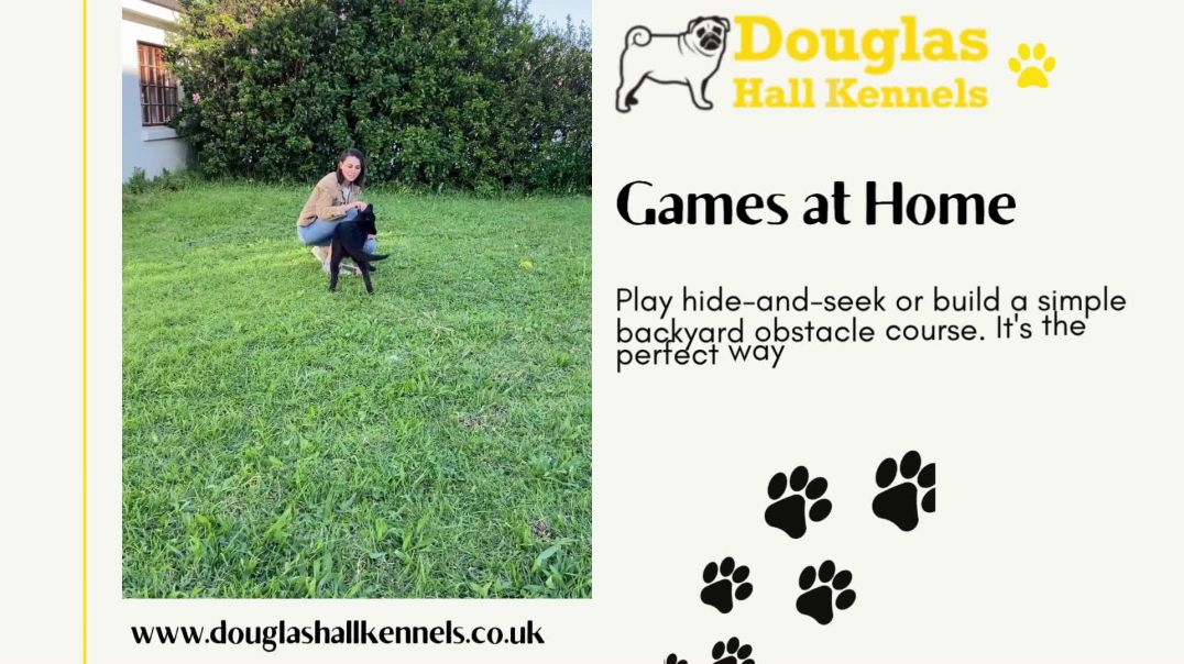 The Ultimate Weekend Bucket List for Your Cockapoo | Fun Weekend Ideas for Dog Owners